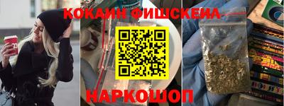 стафф Камышлов