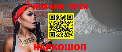 стафф Камышлов