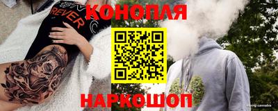 стафф Камышлов