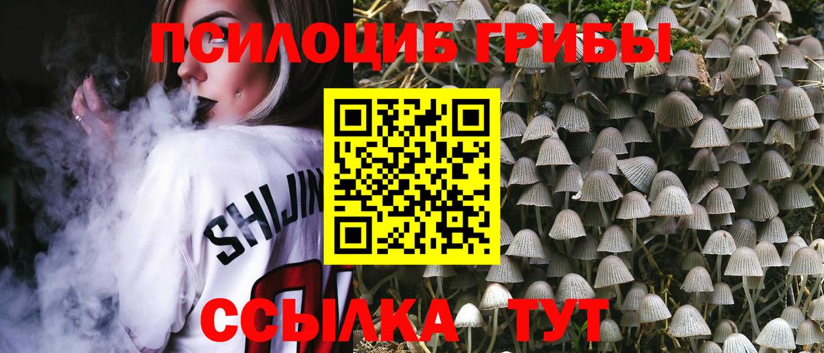 Дюртюли  Псилоцибиновые грибы прущие грибы  Псилоцибиновые грибы Magic Shrooms  Вход с VPN 